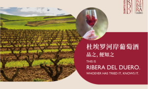 2025杜埃罗河岸RDD葡萄酒大师班及品鉴会巡展，完美收官！