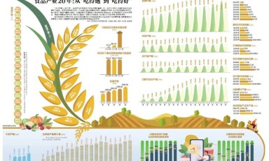 数说食品、酒业20年发展变化